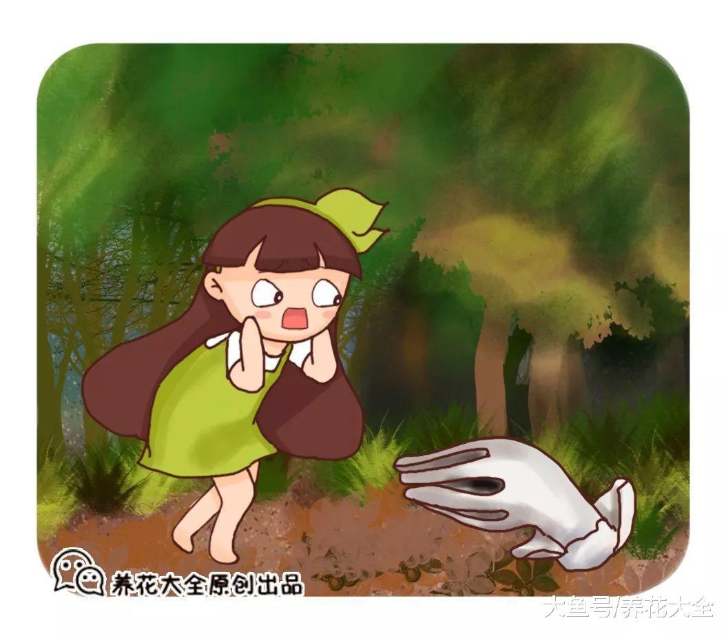 这些奇葩植物在一起, 说不定你连一种都没见过!