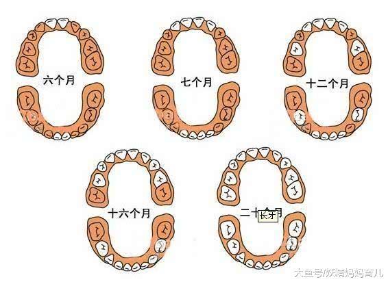 宝宝长不高就是缺钙吗? 常见的9大补钙误区, 你中了几个
