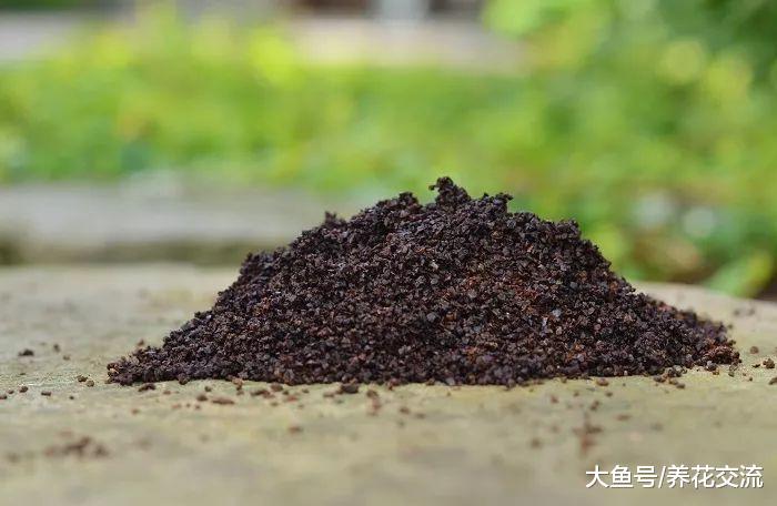 学会在任何的土壤中添加这些废弃的材料, 给植物花卉补充很多营养