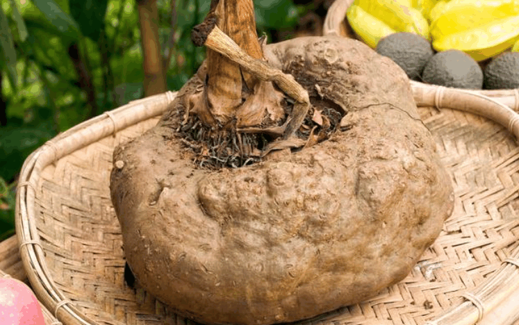 女人湿气重, 腹部赘肉多? 夏天多吃“它”, 消脂祛湿, 大肚腩也平了