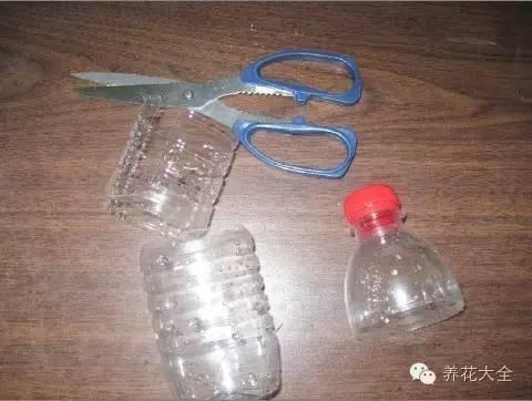 3种傻瓜播种法, 出芽率百分百, 真没你想象中那么难!