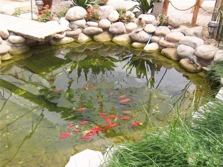 庭院里光有花还不够, 建一处小水景, 美的让人心动!