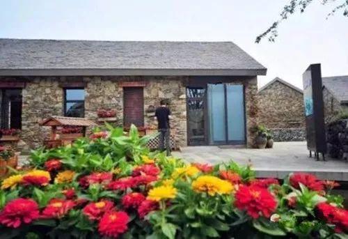 想要阳台变成花园? 这六种好养易活的花草绝对不能少呀!