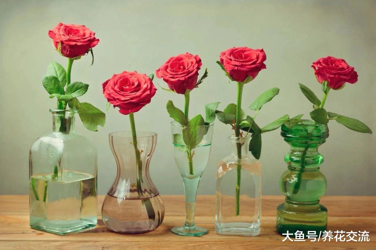 用这五个简单的技巧, 你买来或剪来的鲜花就能保鲜更长时间
