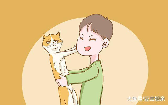 第一个发现你怀孕的是谁? 孕妈: 我家狗狗