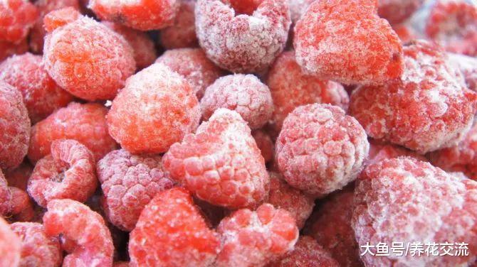 蔬菜、水果正确的保鲜方法, 这些生活技巧很是实用