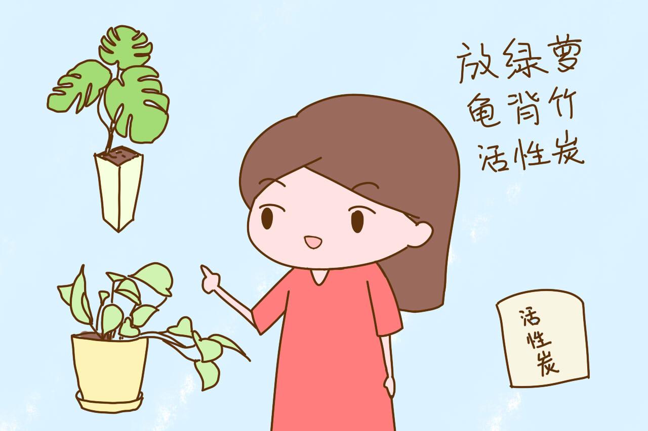 刚装修完的房子, 孕妈多久才能入住? 很多人都做错了
