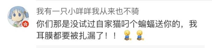 猫主子: 爱你就要给你最好的