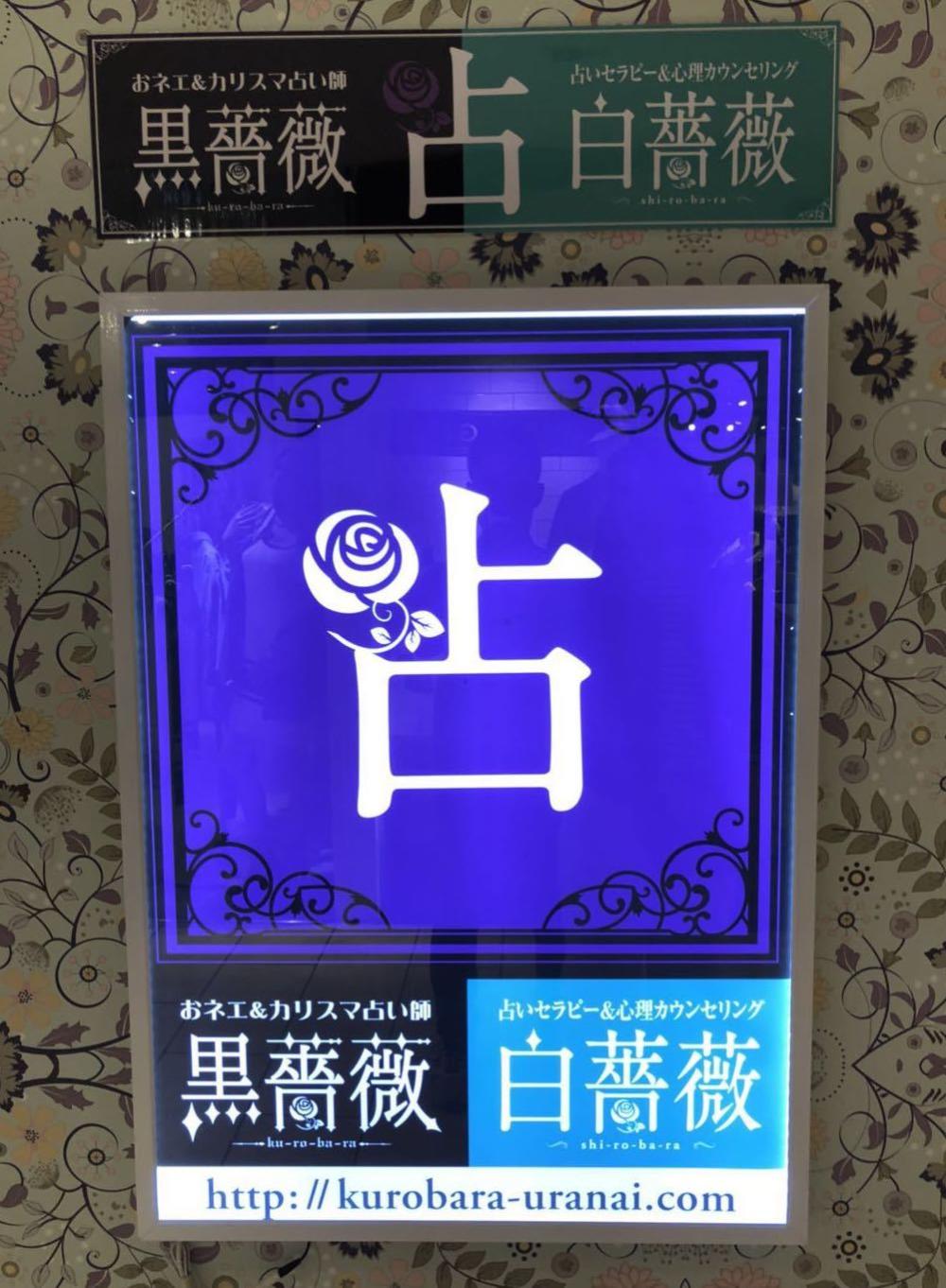 来信 | 去了奶茶占卜店, 他居然问他自己会不会出轨