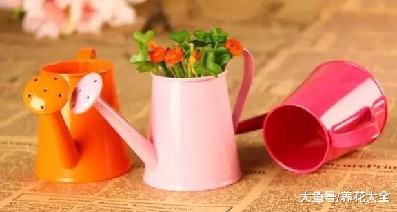 家里的花“吃”了香蕉皮之后疯长, 以后都不用出门买肥料了!