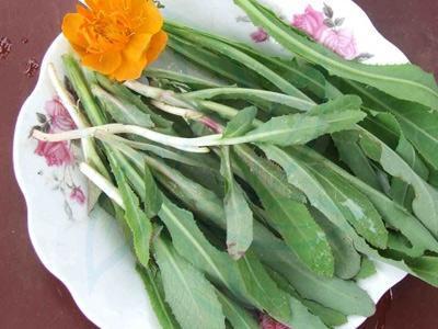 这几种菜在春天吃, 比冬虫夏草还补, 主要要吃法方面!