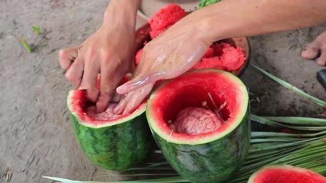 男子将猪脑花洗干净塞进西瓜里, 放在火上烤, 出锅后惹人流口水