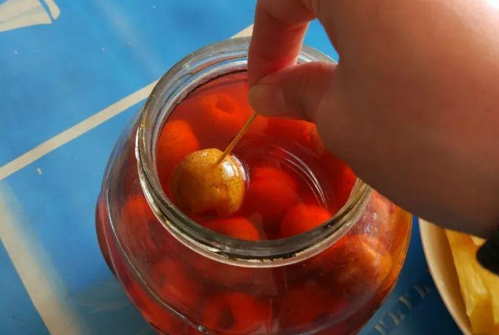 秋冬就种养生花, 果子挂满枝头, 泡茶喝还能做果酱!