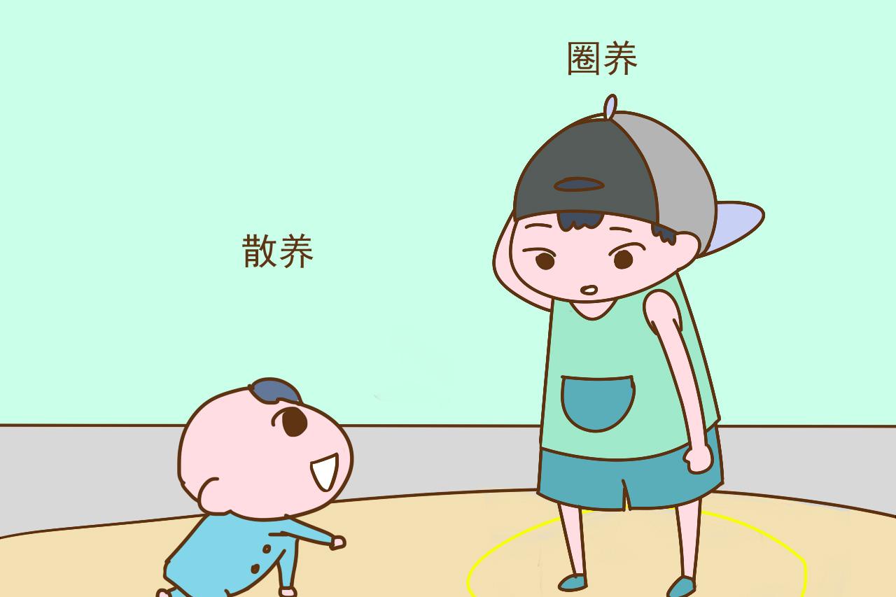 生一胎和生二胎有什么区别? 宝妈: 一胎在家睡, 二胎到生还在上班