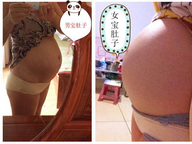 男女宝肚型对比, 区别还蛮大的