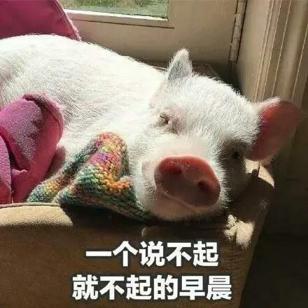 中国人假日越来越多了, 这大概就是放假的意义吧