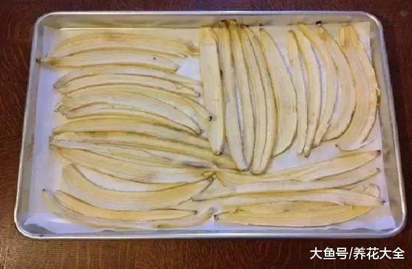 家里的花“吃”了香蕉皮之后疯长, 以后都不用出门买肥料了!