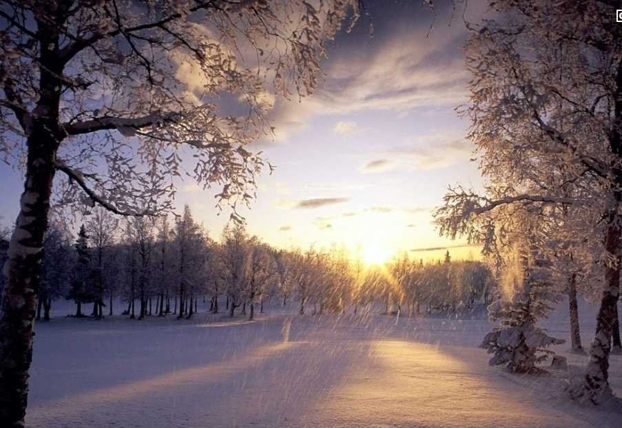 人生和爱情一样, 错过了爱情就错过了人生