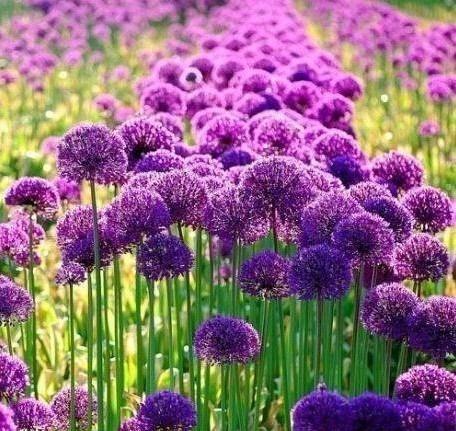 未必要马上认同这十句话, 等你阅历多了就明白了