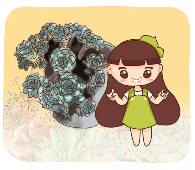 夏天的多肉还越养越好, 每一盆都是经典!