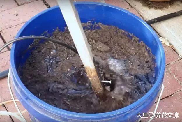 用这种方法就能将堆肥土制作成有机液肥, 就不用化学肥料了