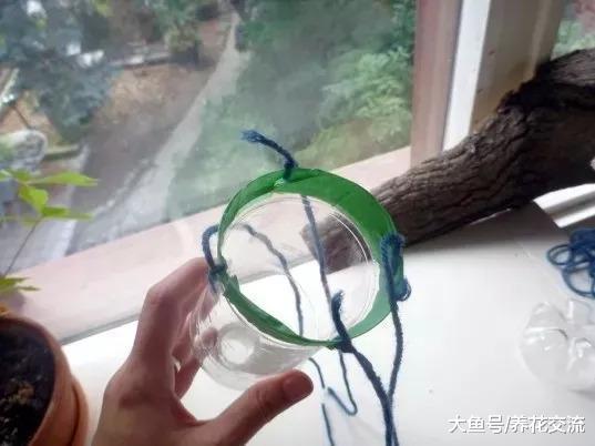 废弃的汽水瓶变成倒挂的吊盆, 将草本花卉直接种上去就能活