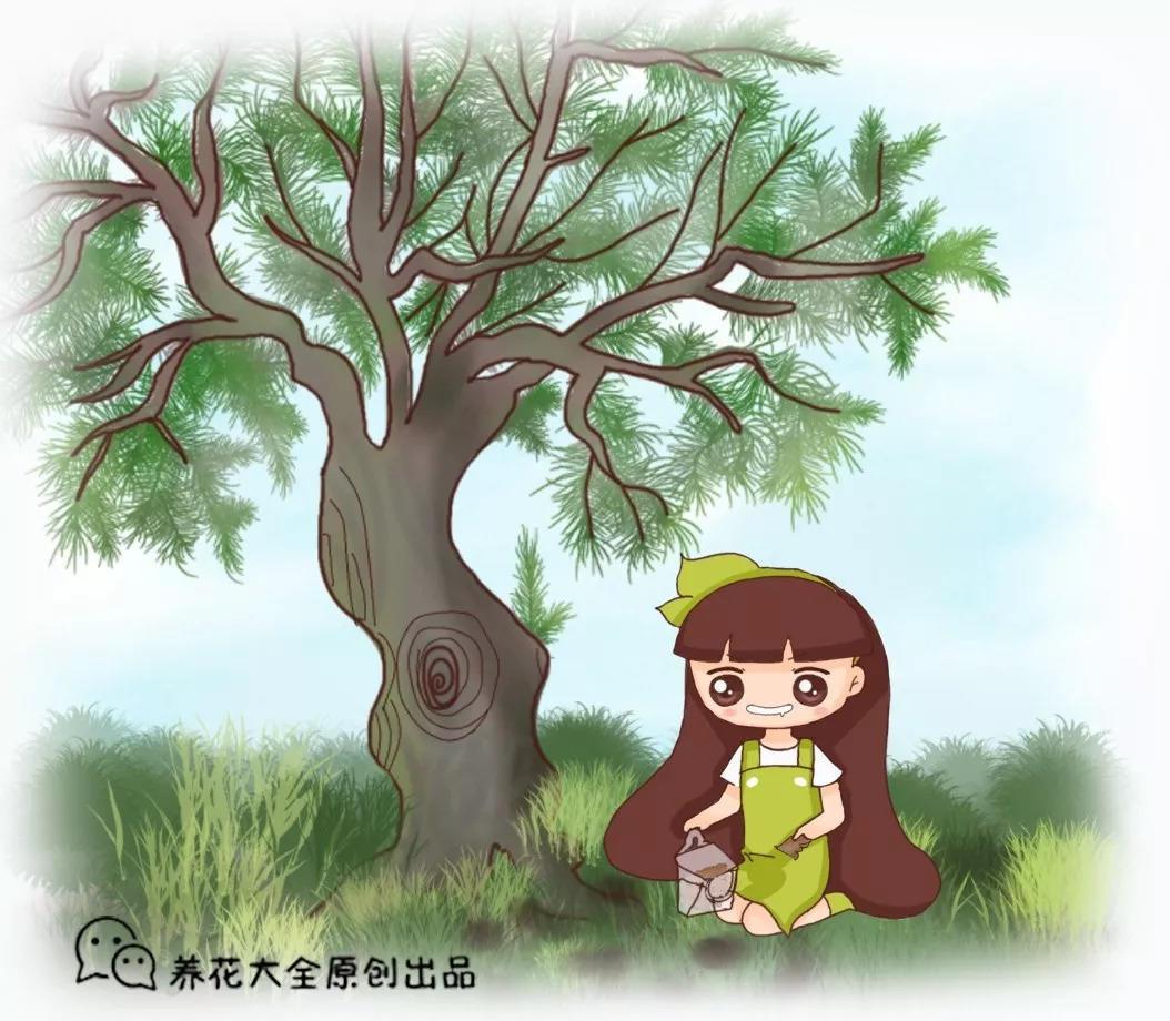 入了养花的坑, 每次路过垃圾箱, 看到什么都想捡!