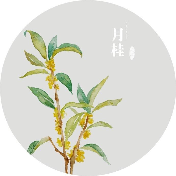悟透人生的经典佛语, 句句都是精华, 令人相见恨晚!