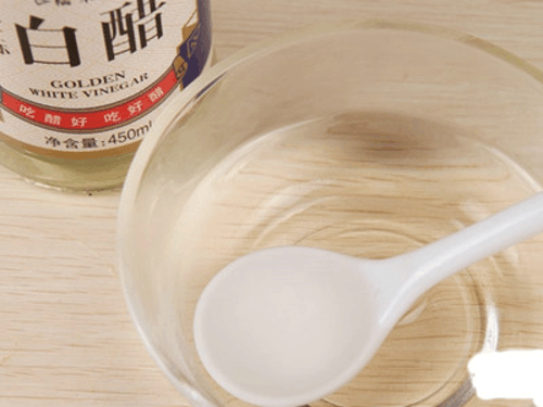 花也需要“洗澡”, 每次擦一擦, 叶片油亮能反光!