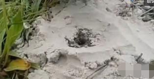 将融化的铝倒入蜘蛛洞中, 结果让人想不到