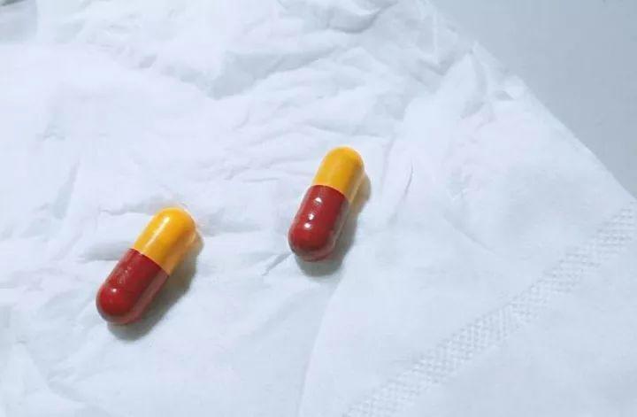 过期感冒药小钙片···养花来1粒, 新叶呼呼冒, 跟打了激素似的!