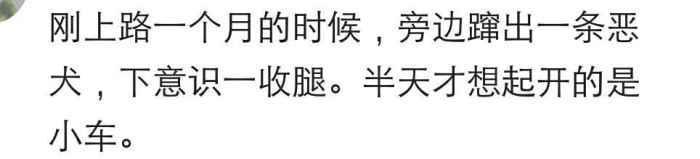 拿到驾照新手上路的你有过哪些无脑的神操作? 交警无奈的别过了头