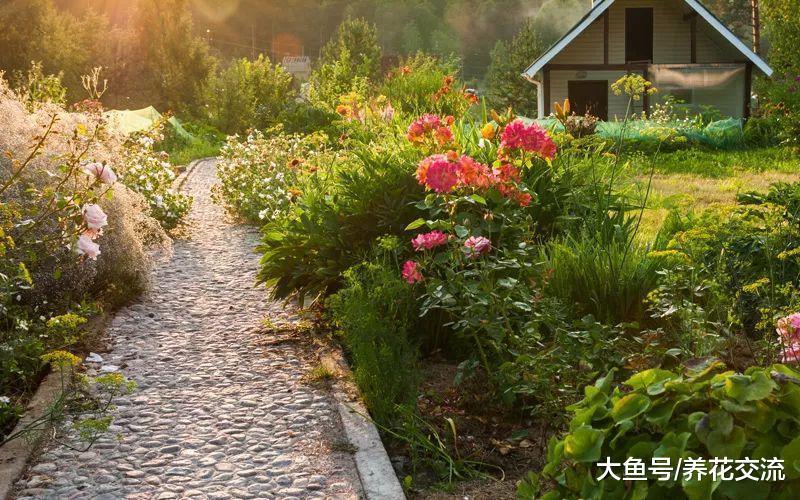 家里院子的小路用这12种方法布置, 逛一整天都不会厌烦