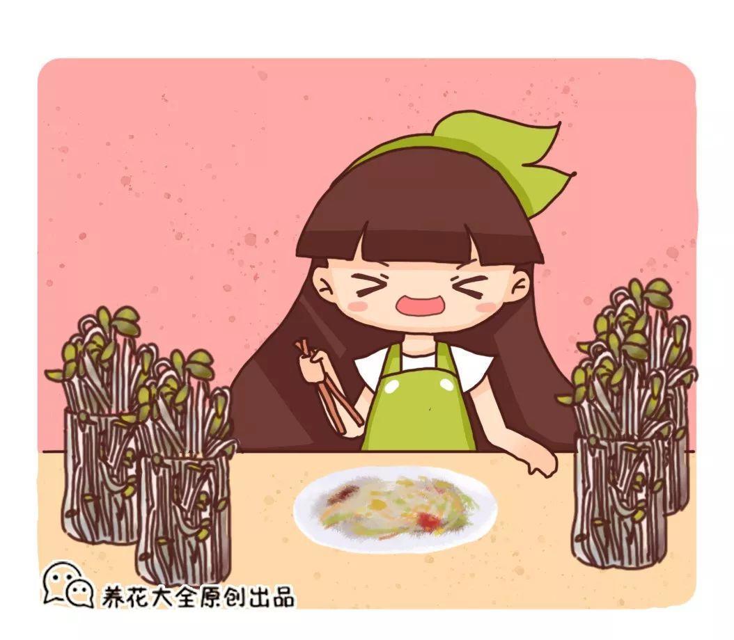 一把豆子撒瓶里, 长出豆芽撑爆瓶子, 吃都吃不完!