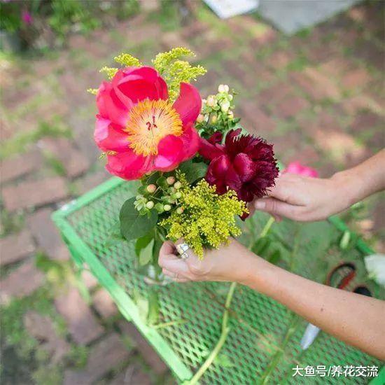 想要让朋友送你的花开更久, 下面这种方法就可以帮到你