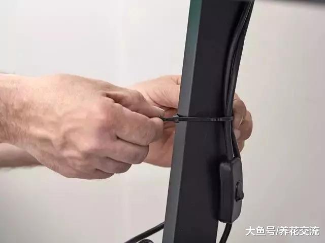 这三个DIY方法都很适合用在家里养花, 在室内种出盆栽小菜园