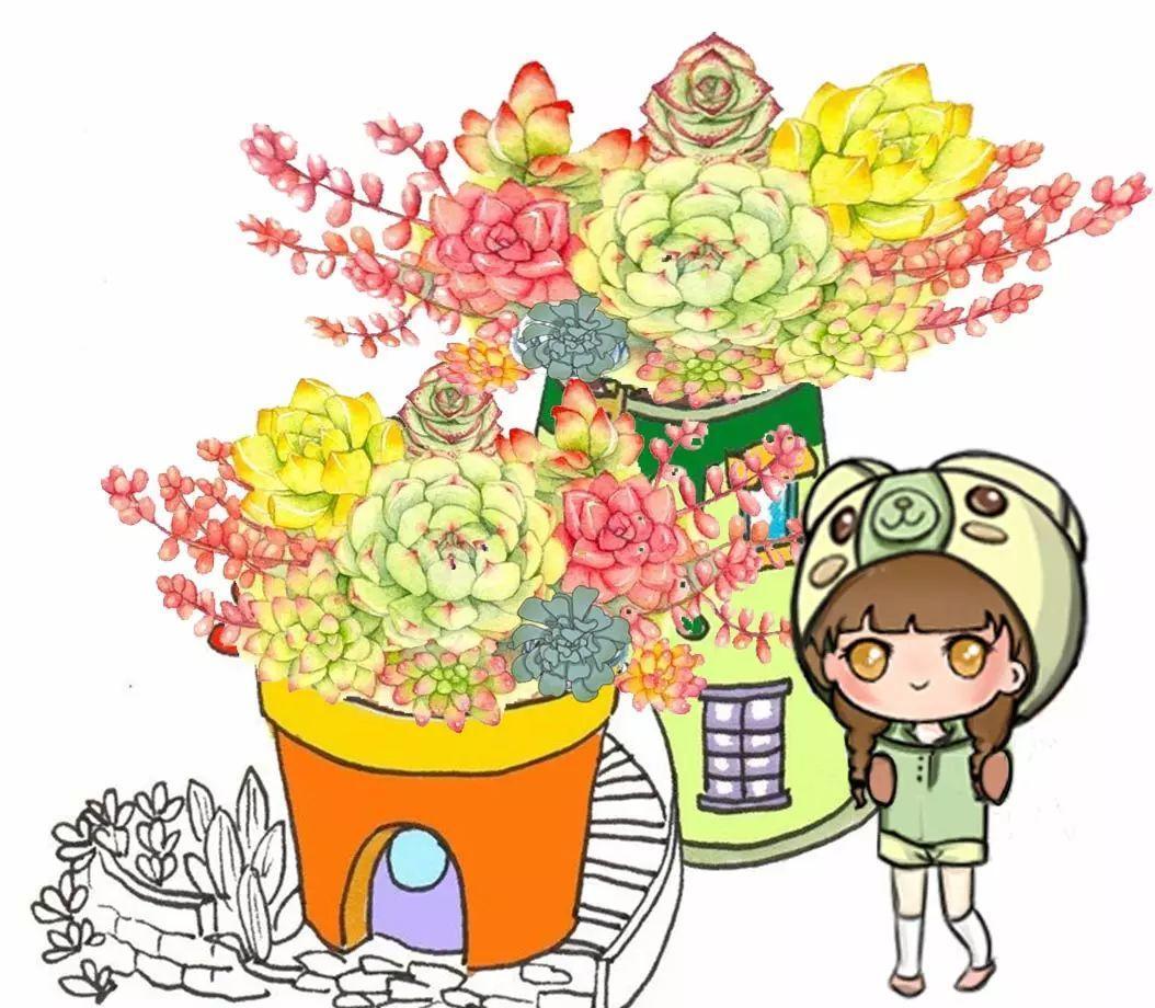 你的多肉巴掌大, 他的多肉竟然爬上墙, 这差得可不是一点点!