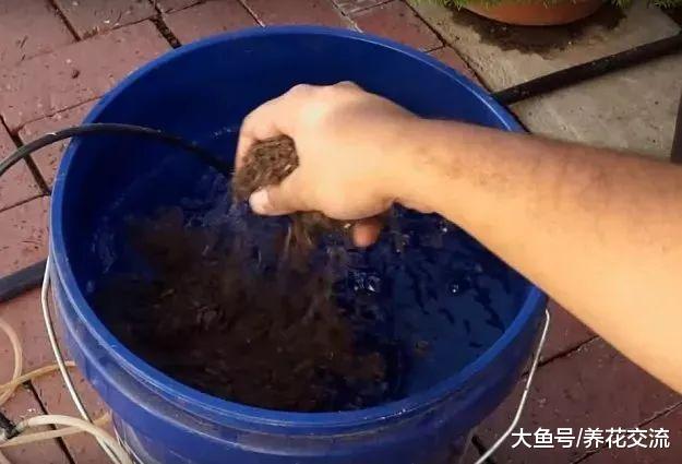 用这种方法就能将堆肥土制作成有机液肥, 就不用化学肥料了