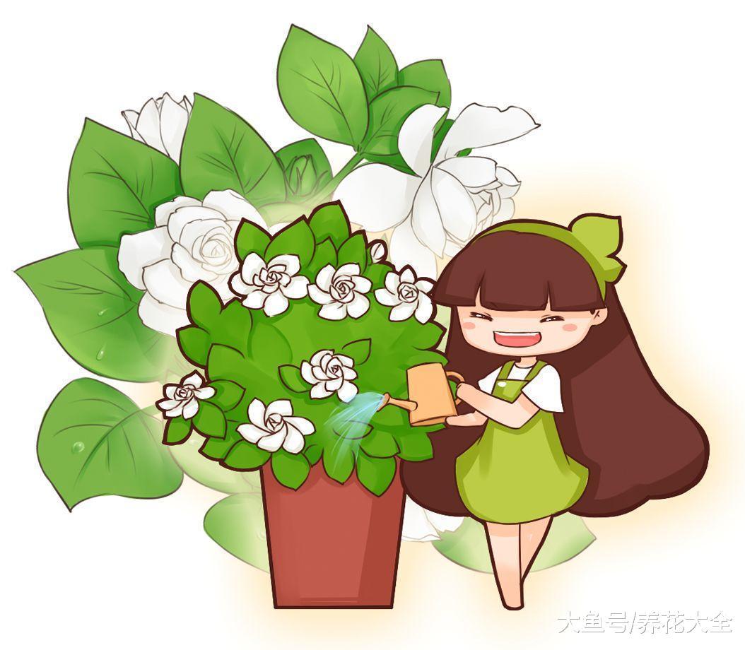 这花一根枝就活, 浇水就疯长, 叶绿花大香气四溢!