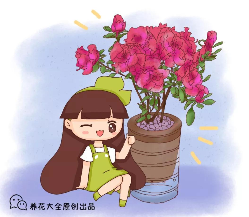 100个花苞剪掉90个, 老婆想要锤死他, 1个月后乐开了花!