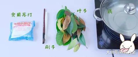 出门捡点落叶, 回来刷一刷, 好看的叶脉书签就出来了!