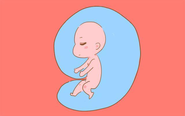 孕后三个月是关键期, 妈妈和胎儿的变化状况在这里