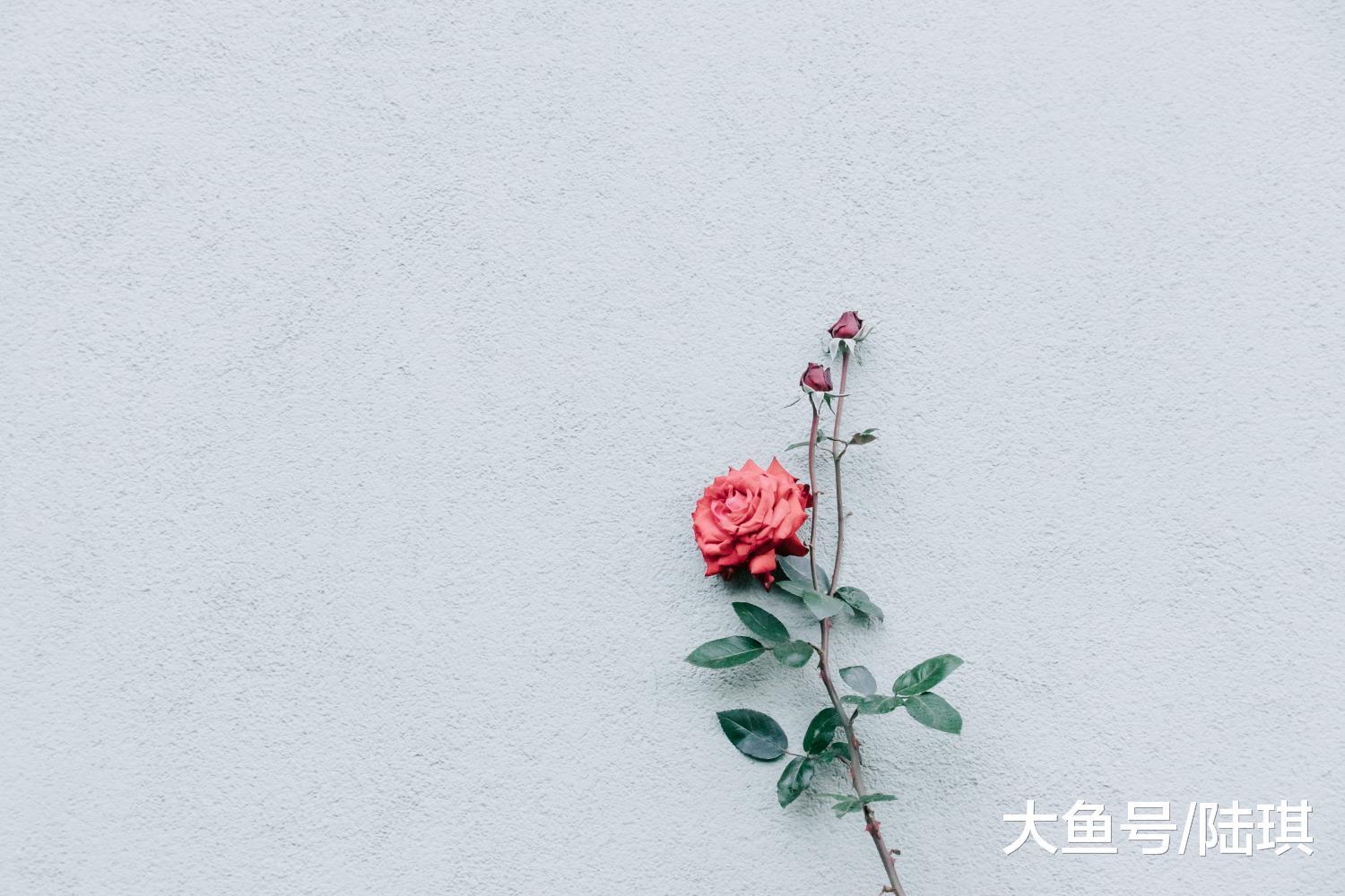 年近古稀之年的他, 仍能遇到爱情: 只要是你, 再晚也没关系