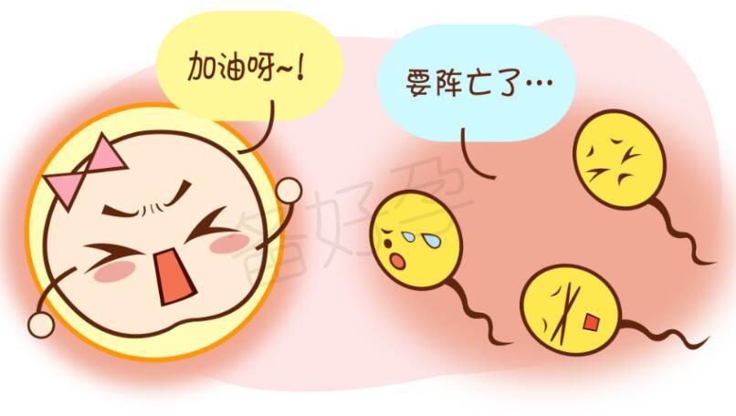 久坐影响生育力? 备孕男女都应警惕