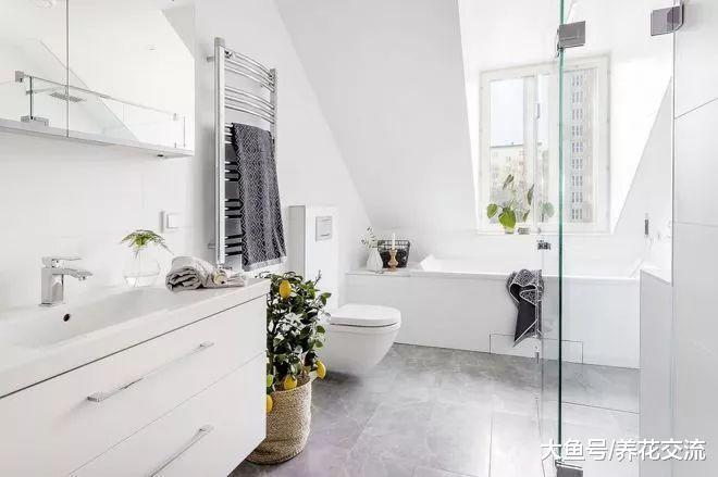 冬季保持室内植物健康的8个技巧, 你都做对了么?