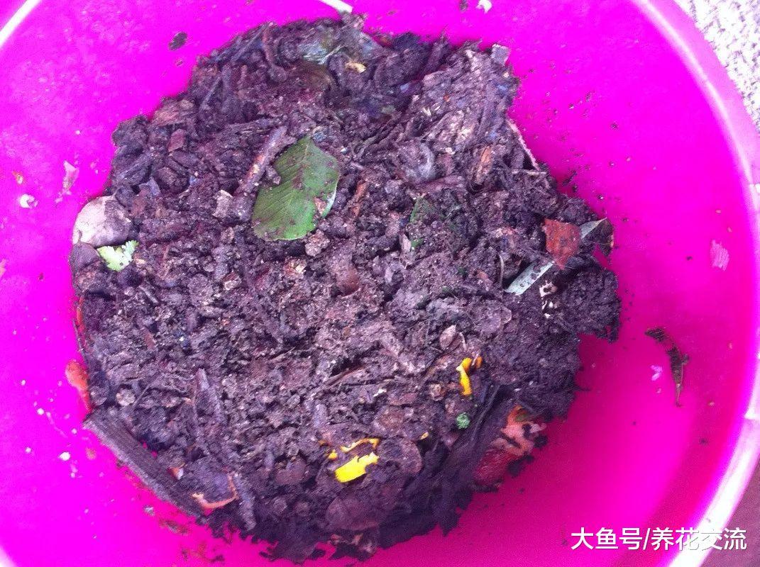 掌握堆肥的材料挑选注意事项, 轻松得到健康的肥土
