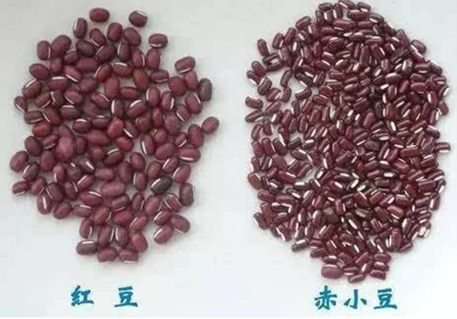 女人喝红豆薏米水减肥, 体重却一直下不去? 原因可能是这3个!