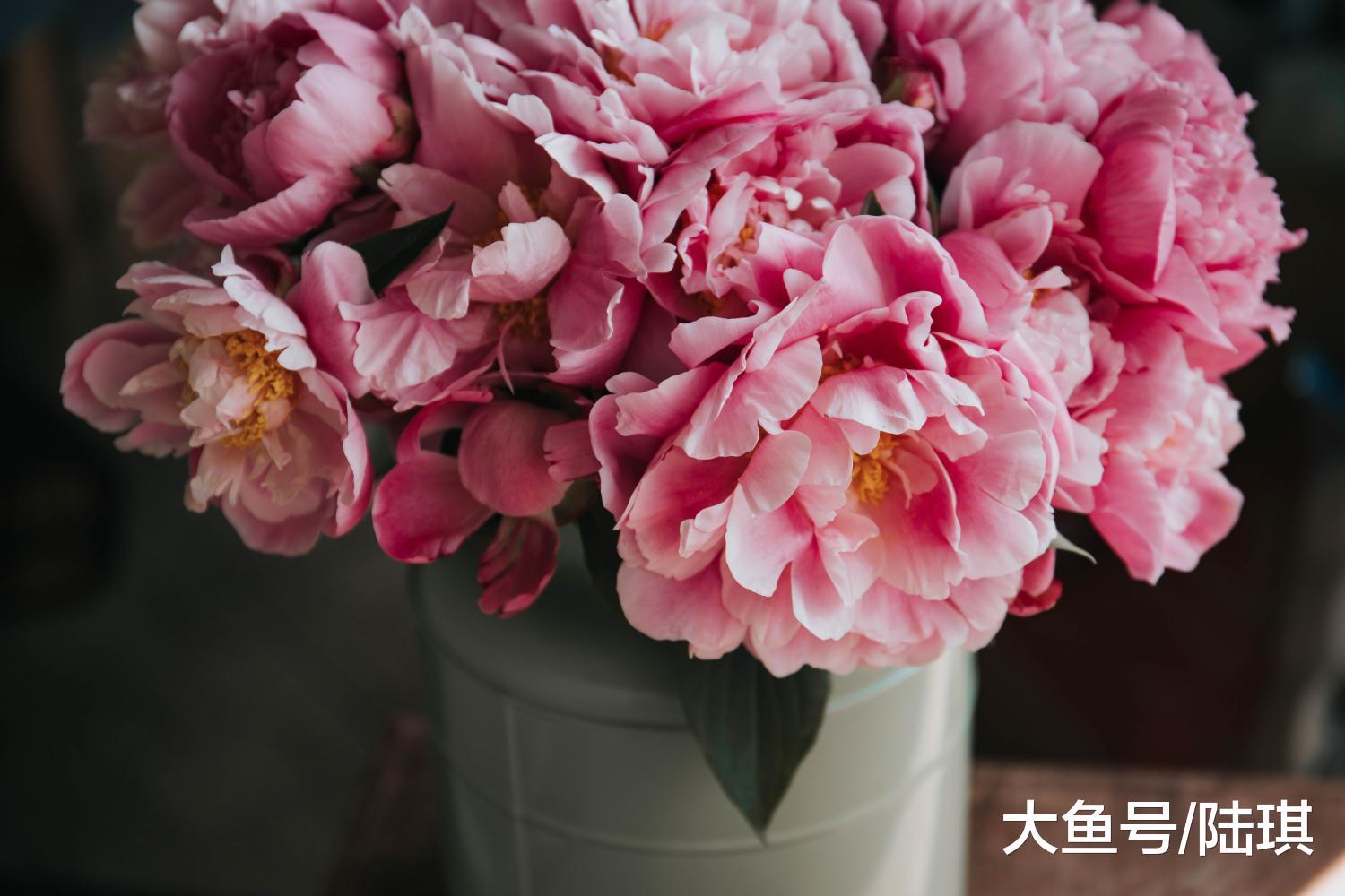 张雨绮: 我看男人眼光不行, 但甩掉渣男的速度很行!