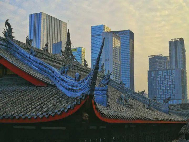 唐僧出家的寺庙, 100个和尚在养花, 闹市中美成仙境!