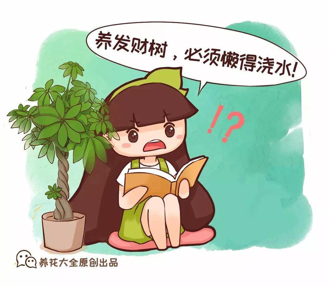 再难养的花, 也有养不死的办法, 就看你浇什么水!